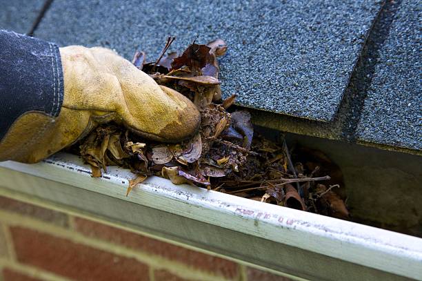 Gutter Cleaning Services in Melbourne