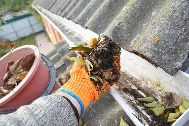 Gutter Cleaning Services in Melbourne