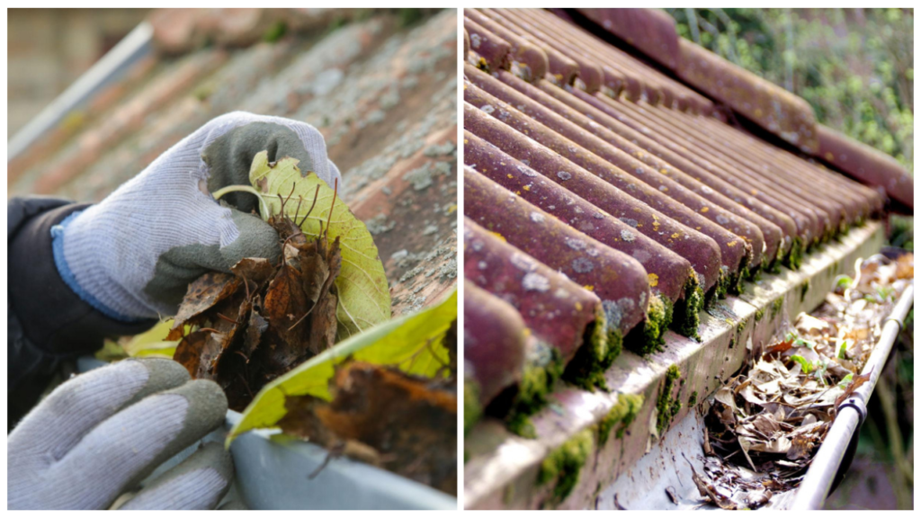 roof & gutter cleaning Melbourne