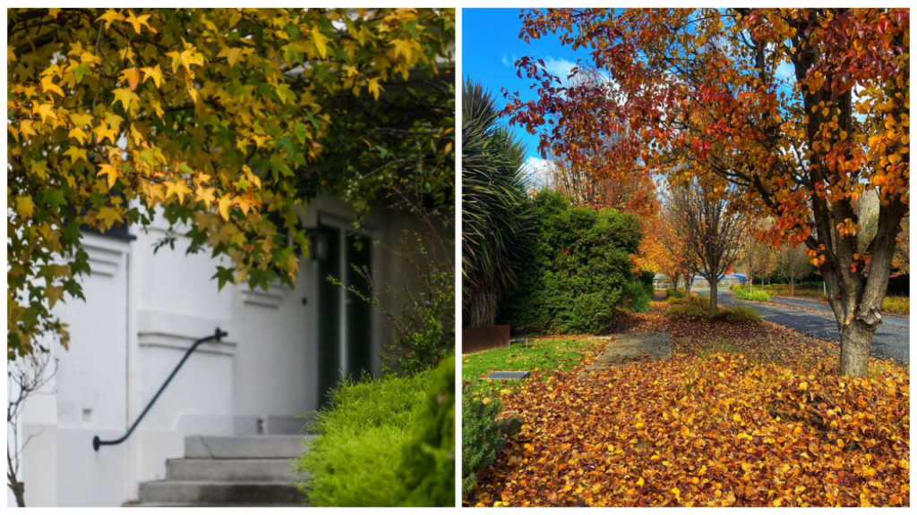 Roof & Gutter Cleaning Melbourne