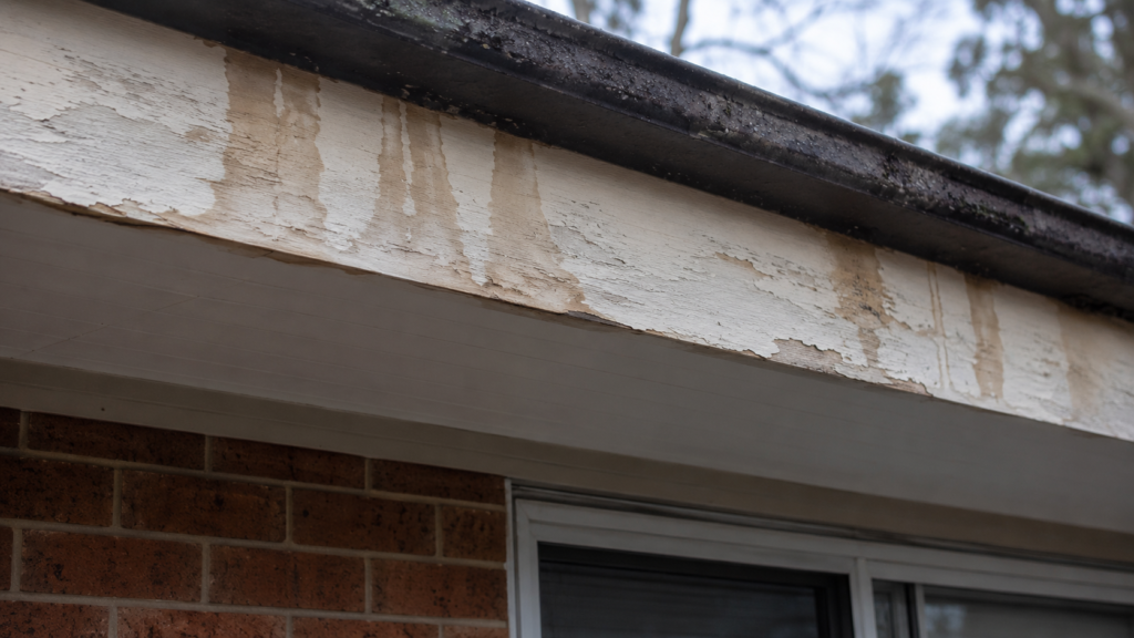Blocked gutters causing water damage on a Melbourne home